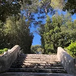 Di Noi
