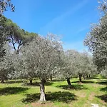 Di Noi Frühstückspension Arnesano