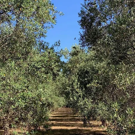 Di Noi Bed and breakfast 4*