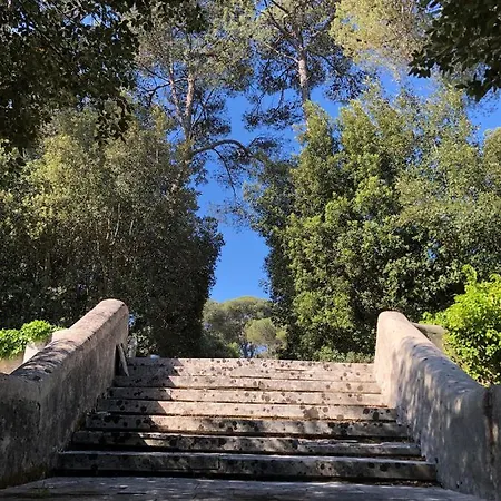 Di Noi