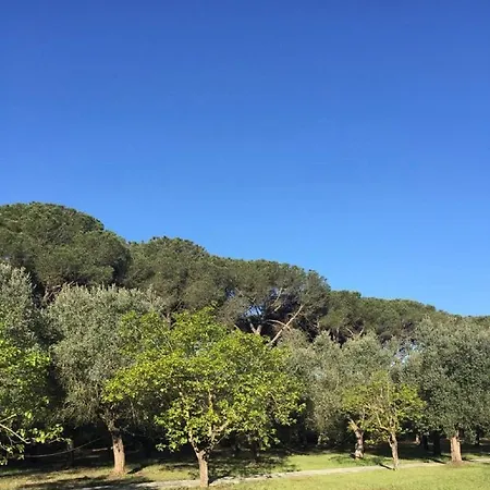 Bed and breakfast Di Noi 4*