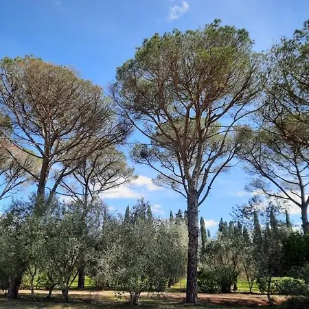 Di Noi فندق مبيت وإفطار أرنيزانو