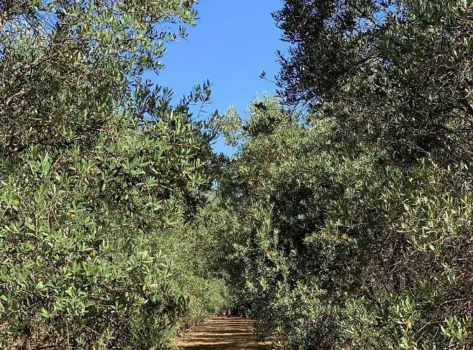 Di Noi לינה וארוחת בוקר 4*