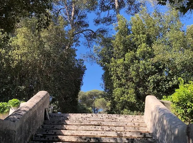 Di Noi