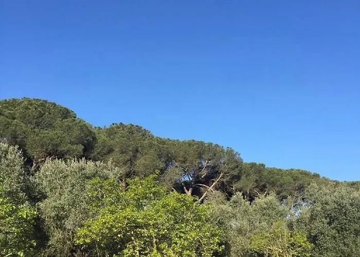 לינה וארוחת בוקר Di Noi 4*