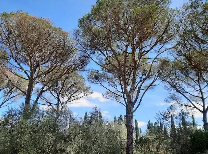 Di Noi לינה וארוחת בוקר Arnesano