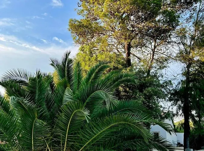 Oda ve Kahvaltı Di Noi Arnesano